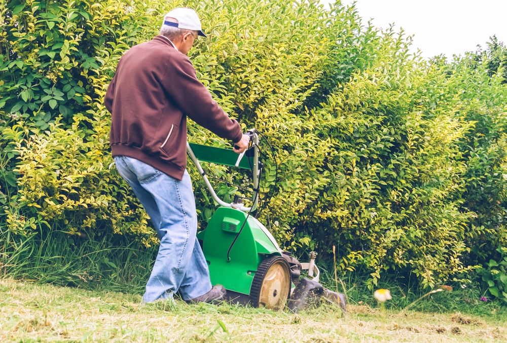 Mature man mowing the lawn with lawnmower