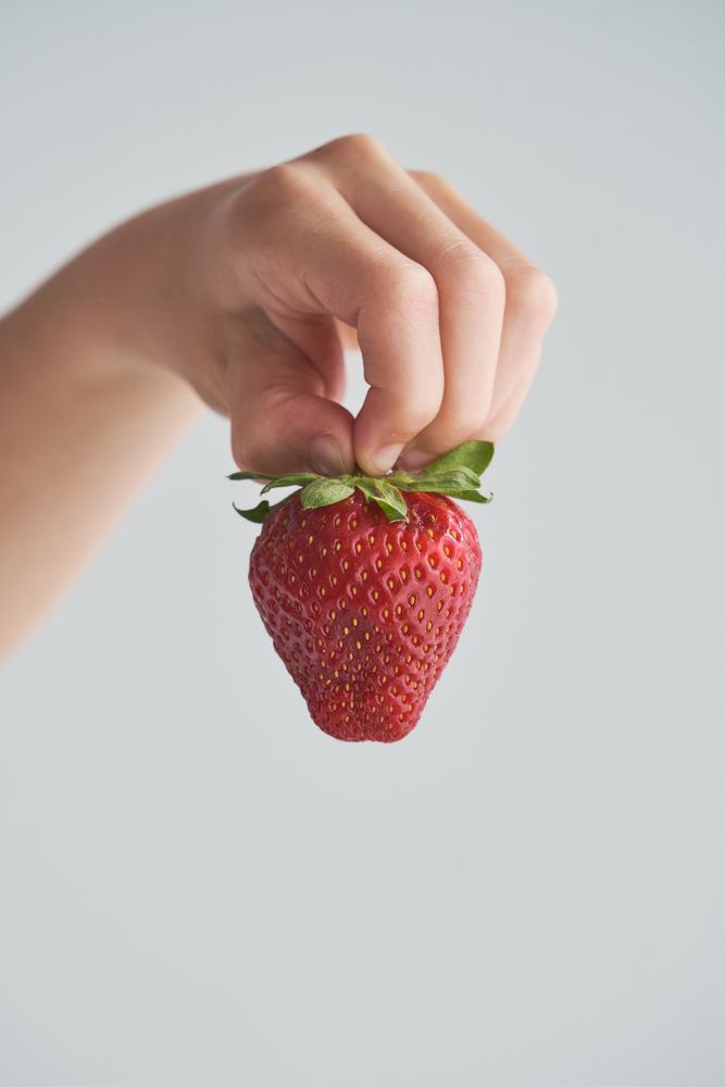 Crop person holding ripe strawberry in hand on gray background