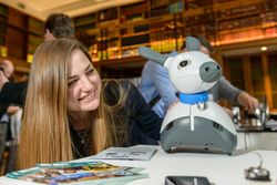 Young woman examines a robotic dog