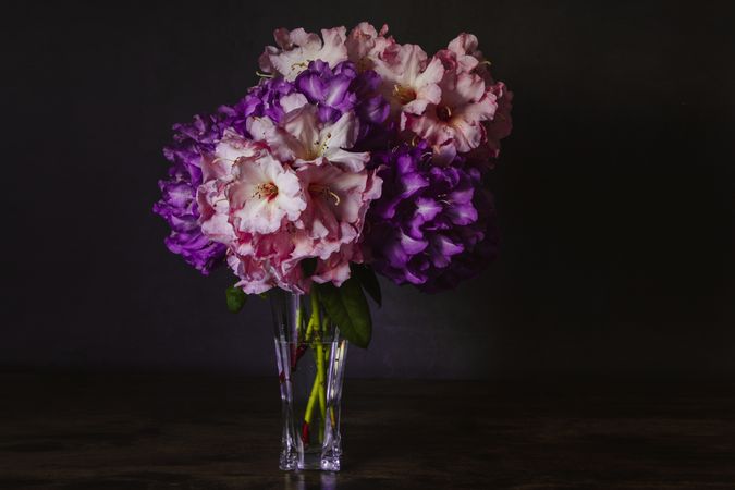 Bouquet of purple rhododendron
