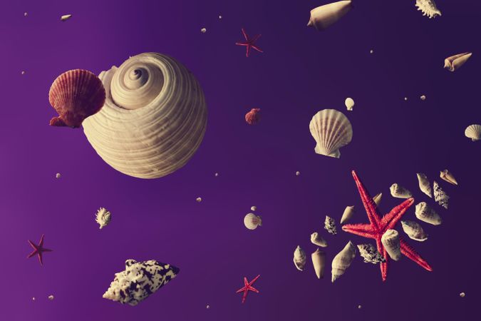 Space scene with seashells as stars and planets on purple background