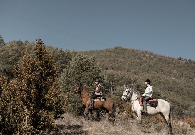 Anonymous people riding horses in brook