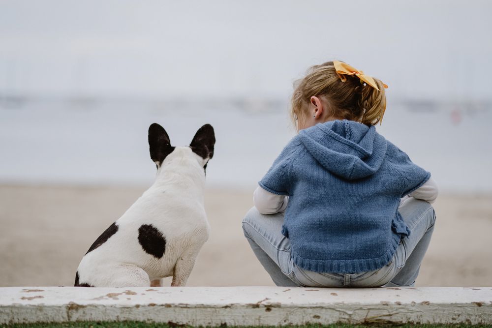 small girl near dog on beach