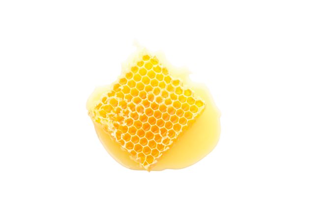 Sweet honeycomb isolated on neutral background, top view