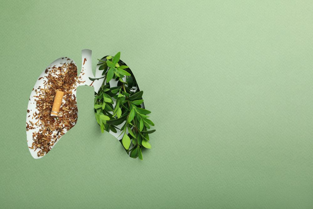 Mint green paper with lung shape cut out with half tobacco half foliage underneath with copy space