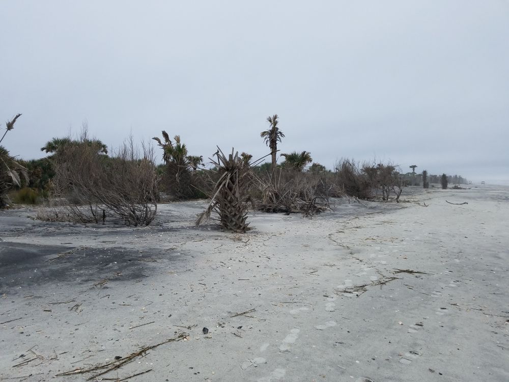 Empty beach after storm