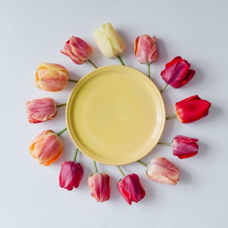 Circle of tulips on light background with yellow plate