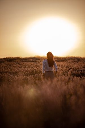 Anonymous woman walking in lavender field