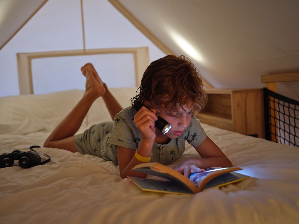 Attentive boy reading book on bed