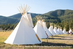 Yellowstone Revealed: All Nations Teepee Village by Mountain Time Arts 48w6k5