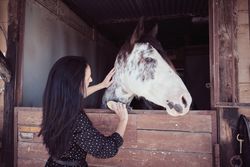 Woman brushing horse in stall