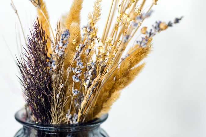 Dried flowers, still life for drawing.