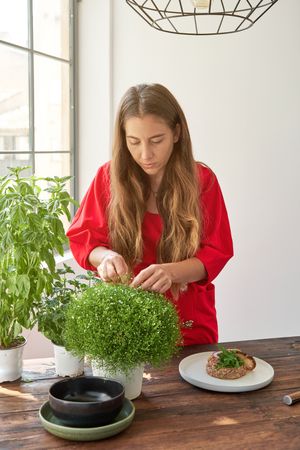 Young woman decorating tasty steak tartar