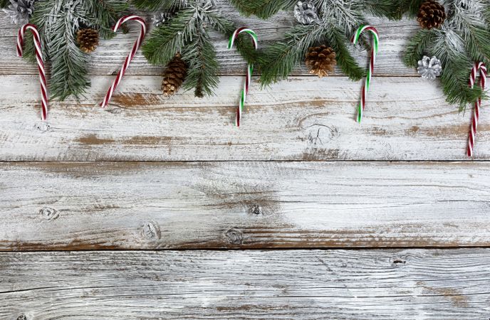 Snow covered fir tree branches with gold and silver pine cone decoration ornaments on rustic wood