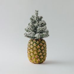 Pineapple and winter Christmas tree