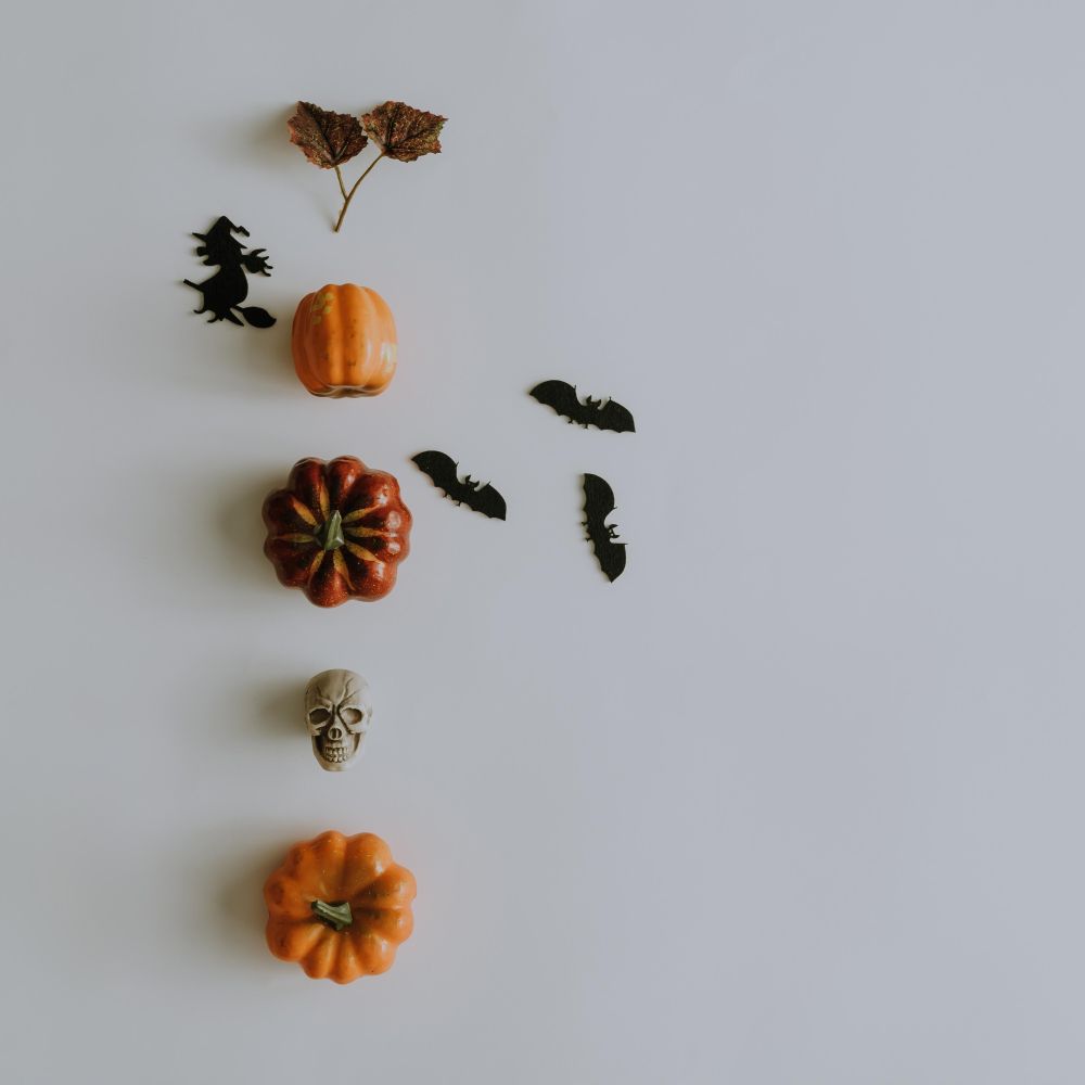 Autumn fruits, leaves and bats lined up on light background