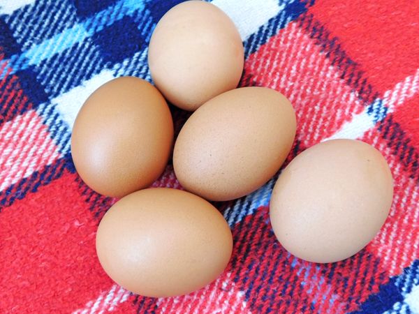 Cooking Eggs On Background