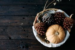 Set of pine cones and holm oak leaves in an esparto basket next to a yellow pumpkin on a wooden table seen from a top view.