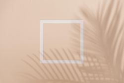 Flat lay of shadow of palm leaf beige background with paper outline