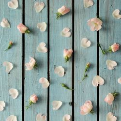 Flowers and petals on wooden background