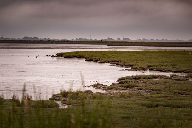 Marshy embankment of small body of water looking out to a distant city