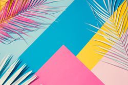 Tropical leaves on colorful bright geometric pattern of yellow, blue, and pink paper