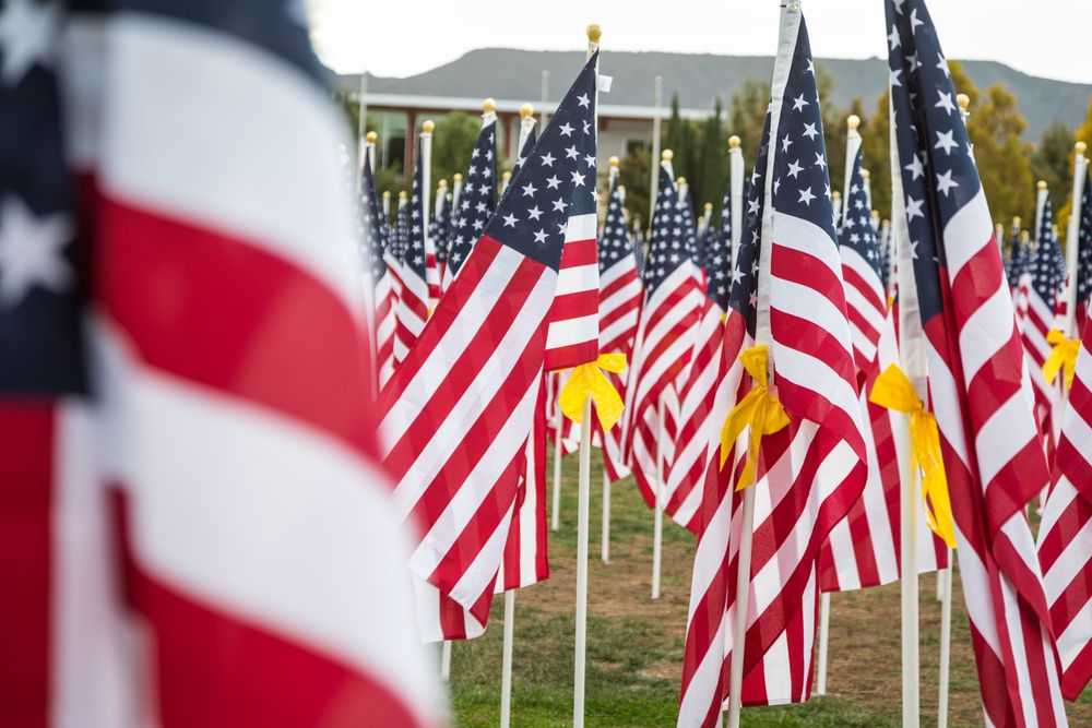 Field of Veterans Day American Flags Waving in the Breeze.