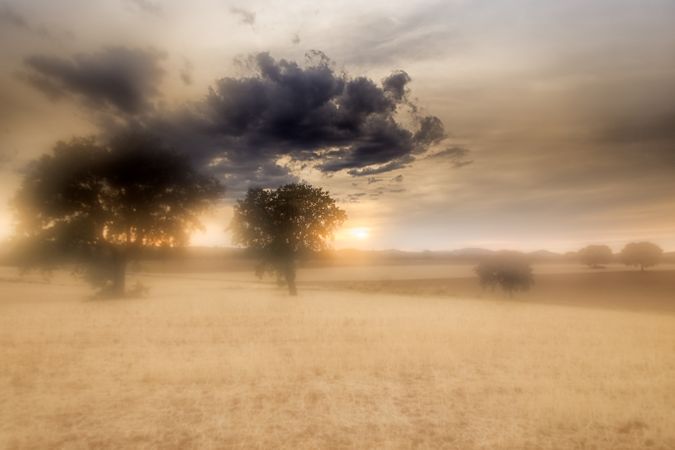 Blurry landscape of tranquil field in overcast