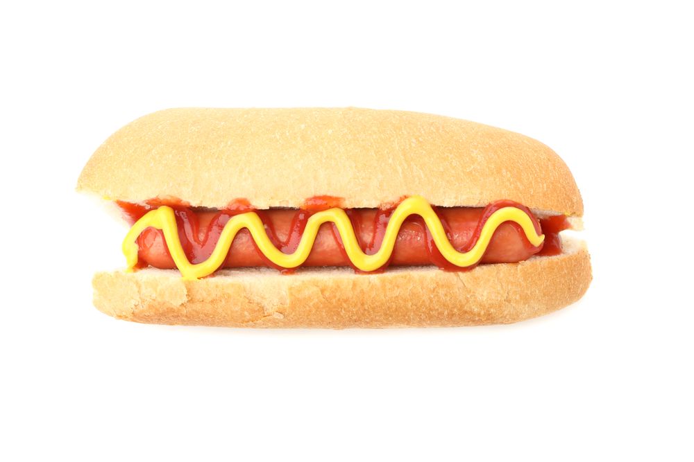 Tasty hot dog isolated on plain background