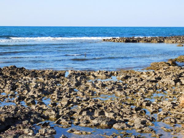 sea