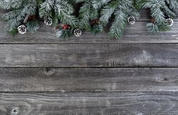 Year end holiday concept with basic snow fir with pine cones and red berries