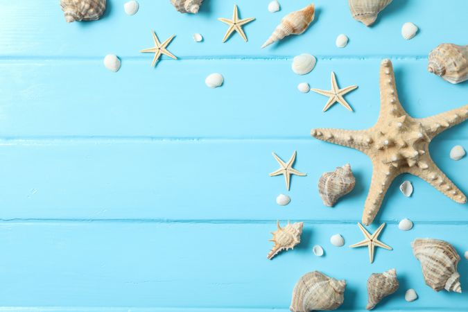 Many starfish and seashells on color wooden background, space for text and top view. Summer vacation backdrop