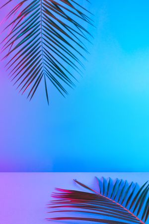 Tropical and palm leaves in vibrant bold gradient holographic neon colors, with copy space