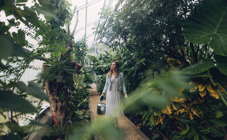 Young woman with watering can walking in tropical greenhouse