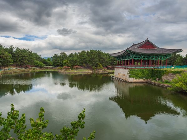 Pond with water lilies near hill