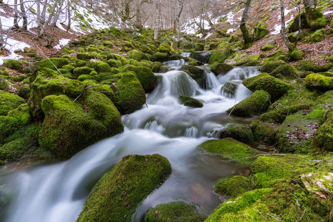 River running between stones in moss in forest