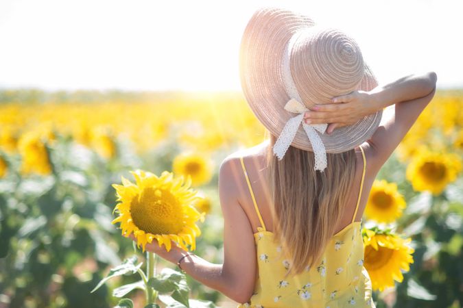 Woman in straw hat gazing while standing on bright sunflower field