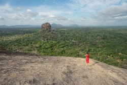 Tourist against solitary rock in middle of green forested plain under clear sky in summer