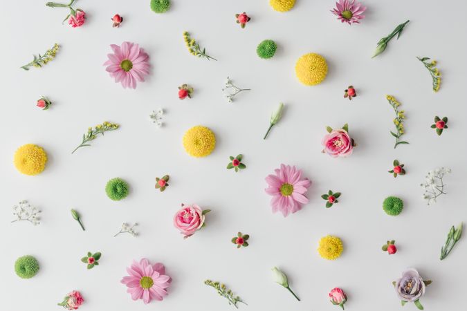 Spring flowers artfully arranged on light background