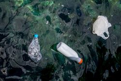 Plastic bottles and bag floating on water