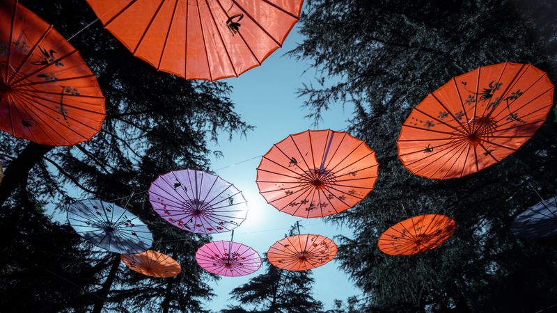 Lower view of colorful paper umbrellas hung as decoration outdoor