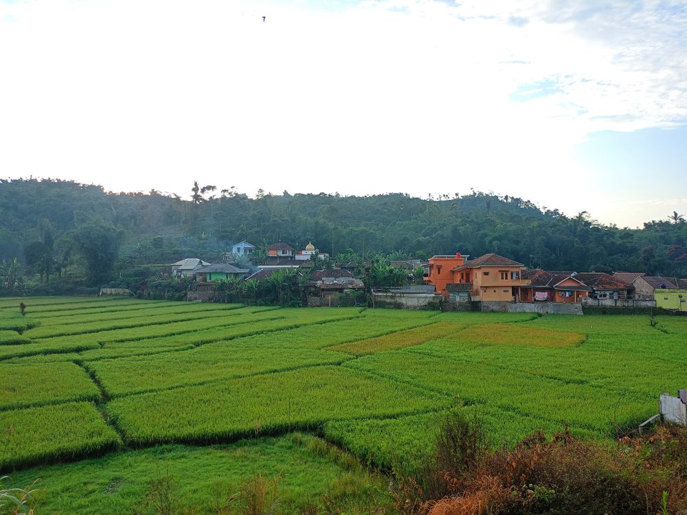 A Village