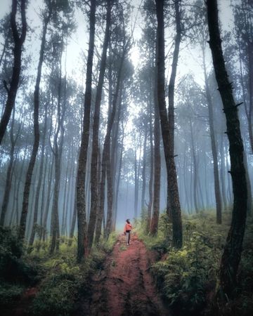 Person running in the woods