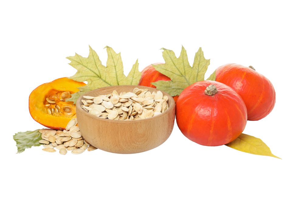 Fall season food - pumpkin seeds, isolated on light background