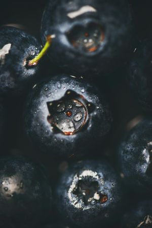 Freshly washed blueberries, vertical composition, close up of top