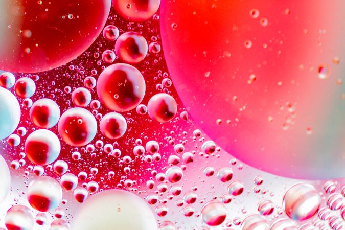 Abstract pink and red water bubbles