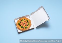 Vegan pizza in a cardboard box 0Lv1X4