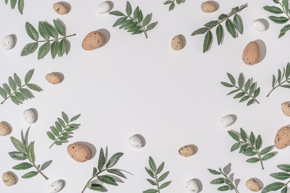 Green branches and brown eggs scattered on light  background