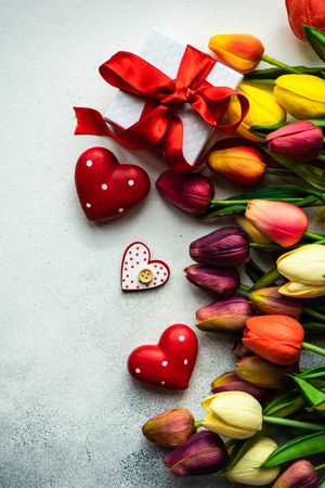 Spring tulips on grey background with dotted heart ornaments, present and copy space