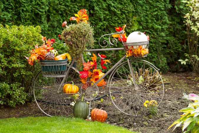Stationary bike dressed for Autumn Season